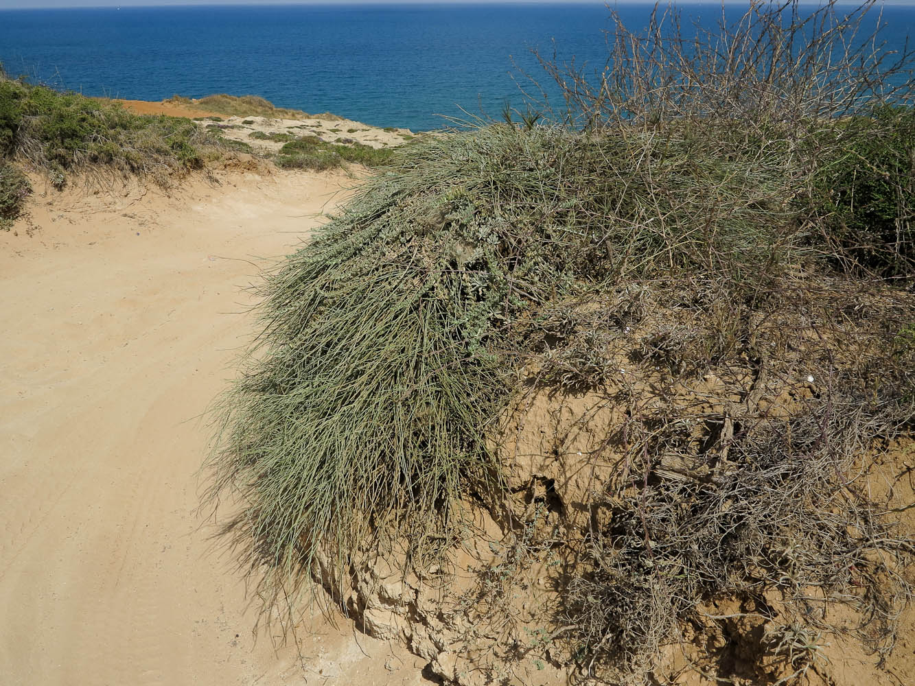 Высокий берег Средиземного моря, изображение ландшафта.