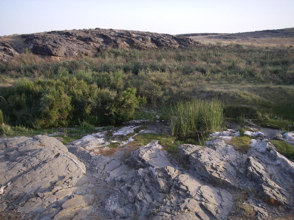 Река Коспа, изображение ландшафта.
