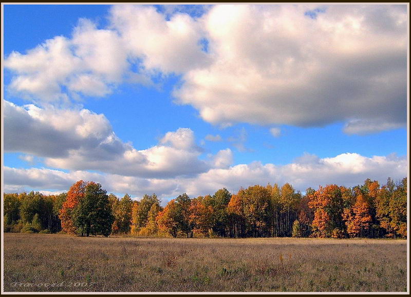 Соколова поляна, изображение ландшафта.