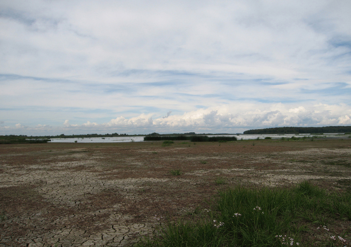 Костромское водохранилище, image of landscape/habitat.