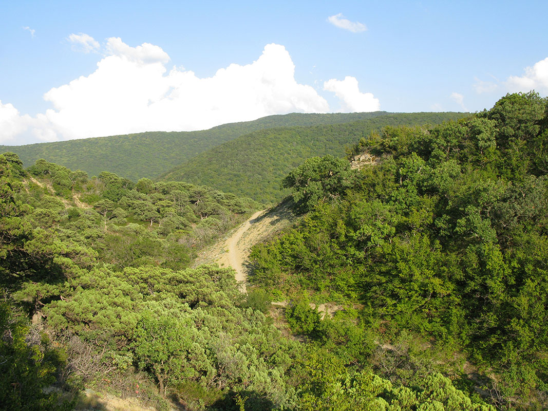 Большой Утриш, гора Солдатская, изображение ландшафта.