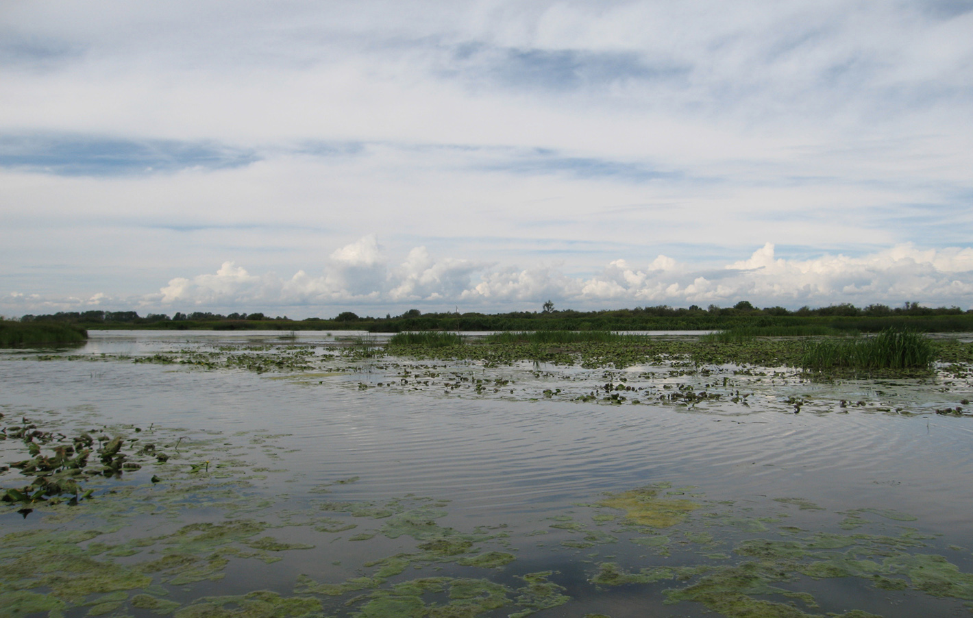 Костромское водохранилище, изображение ландшафта.