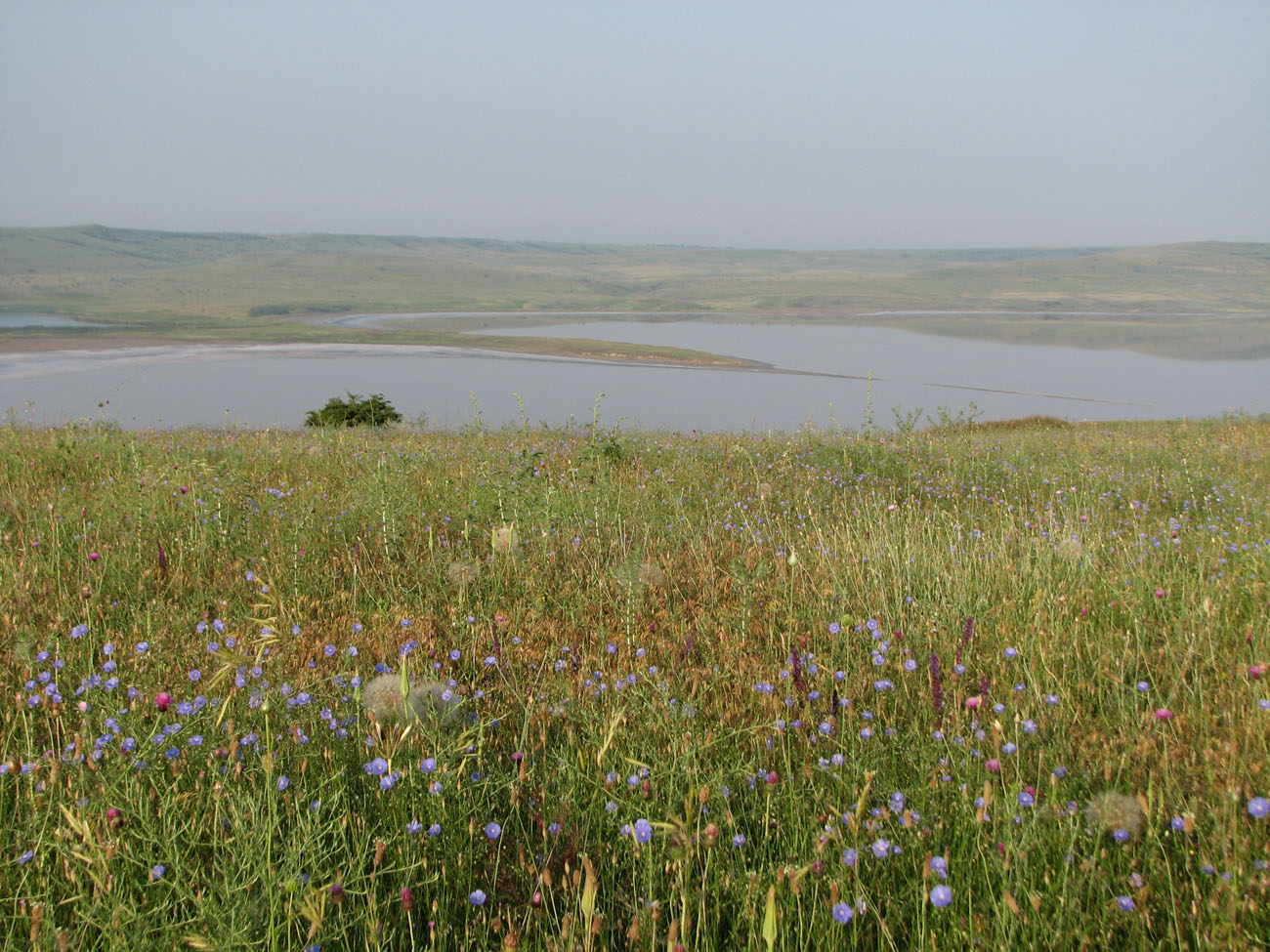 Озеро Чокрак, изображение ландшафта.