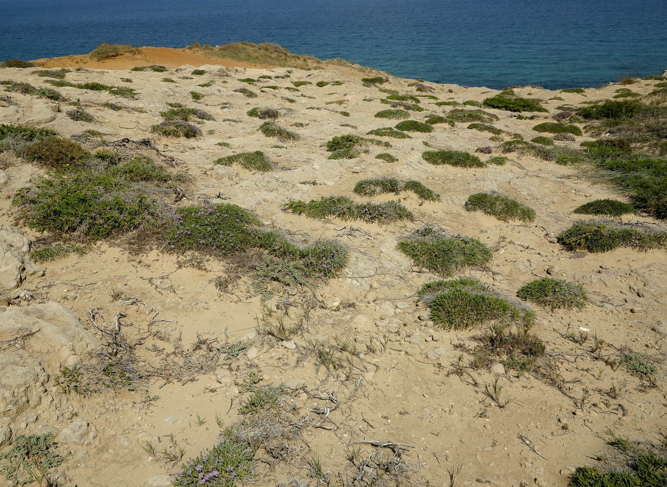 Высокий берег Средиземного моря, изображение ландшафта.