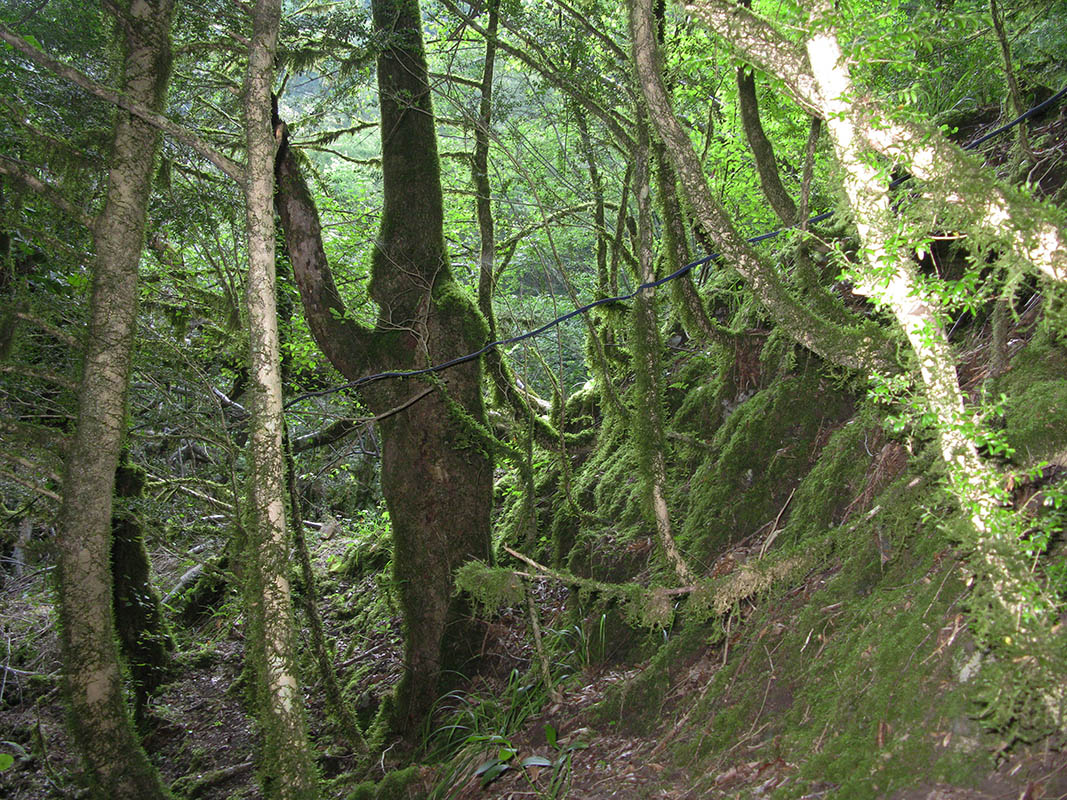 Три Котла, image of landscape/habitat.