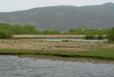 Большое Голоустное, image of landscape/habitat.