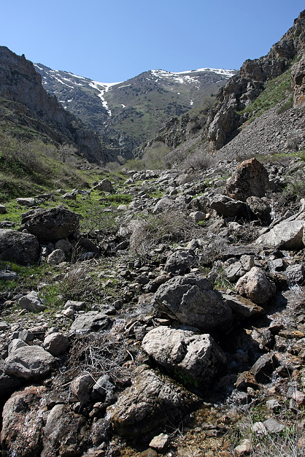 Горы Алатау, изображение ландшафта.