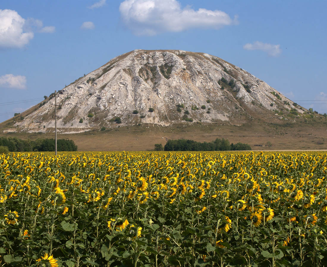 Гора Тра-тау, image of landscape/habitat.