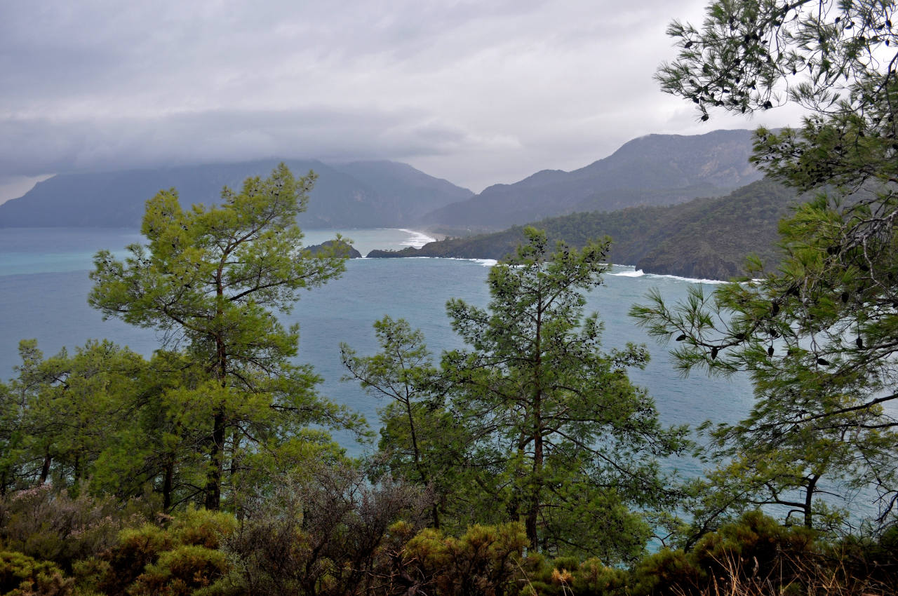 Бухта Чиралы и окрестности, image of landscape/habitat.