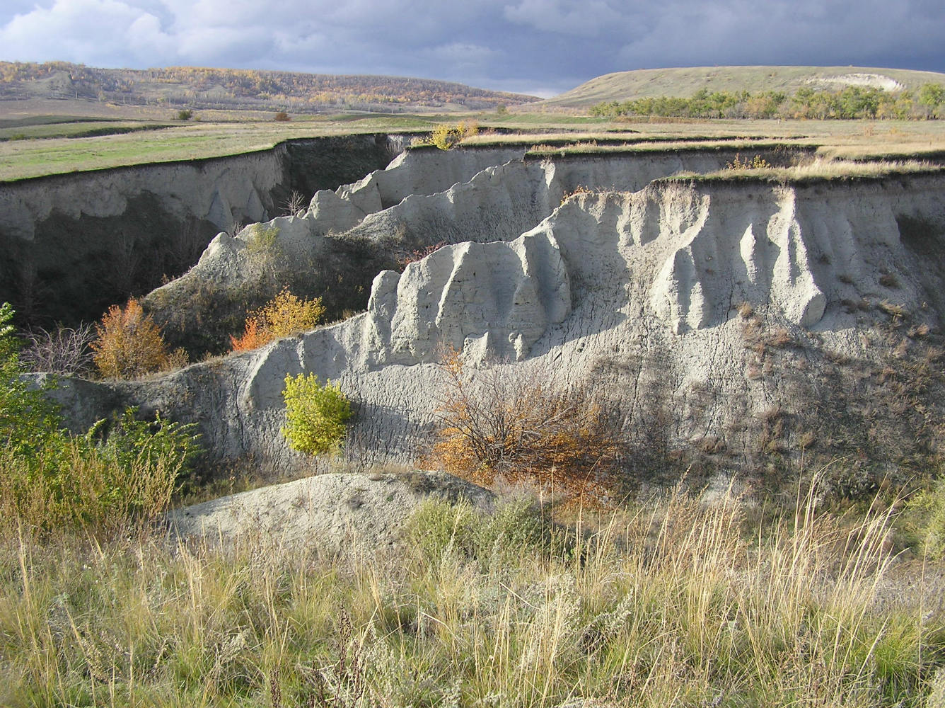 Буданова Гора, image of landscape/habitat.