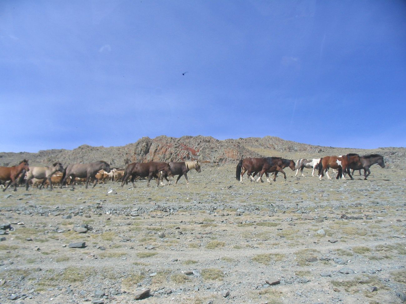 Перевал Ачагардаг-Даба, изображение ландшафта.