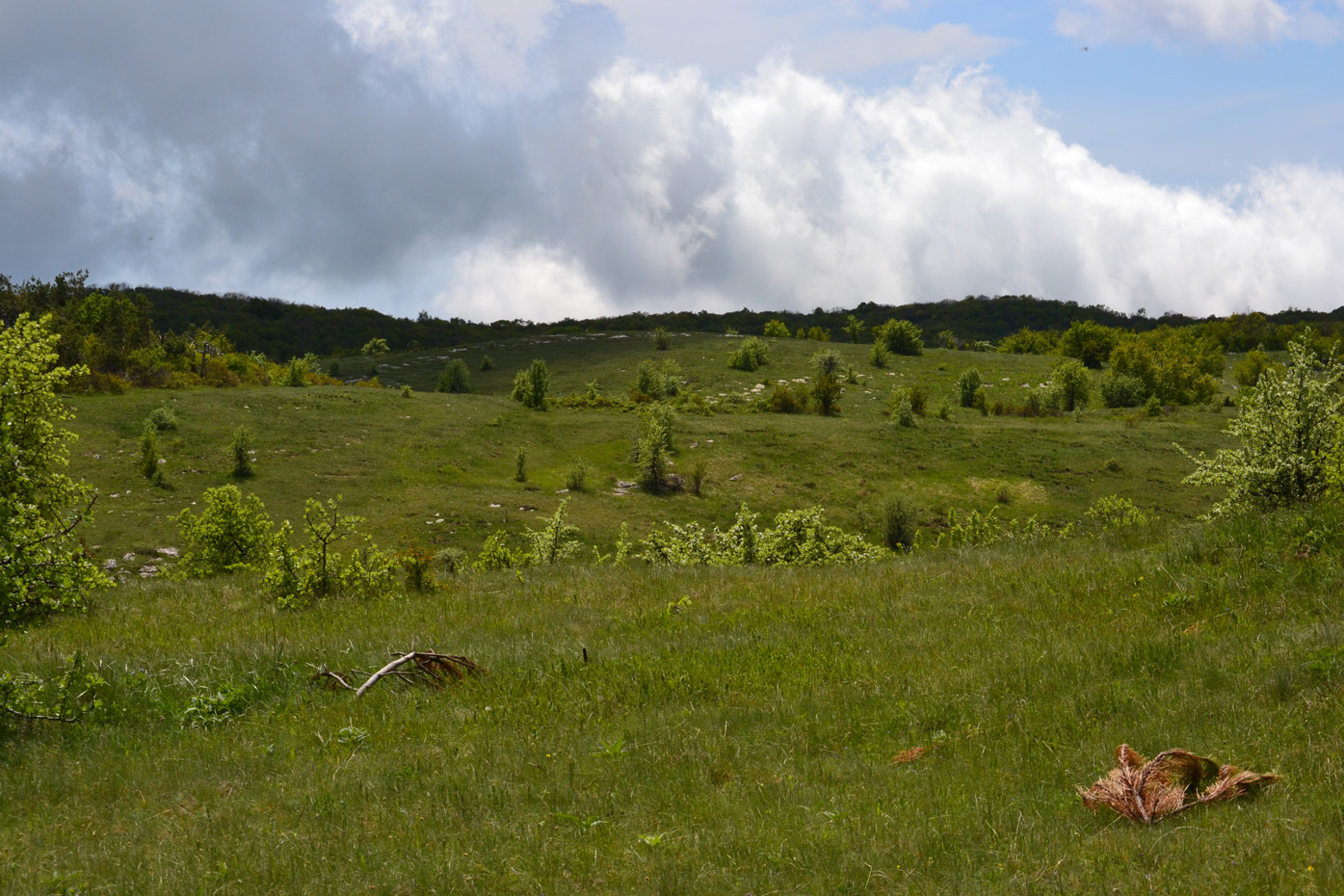 Ай-Петри, image of landscape/habitat.