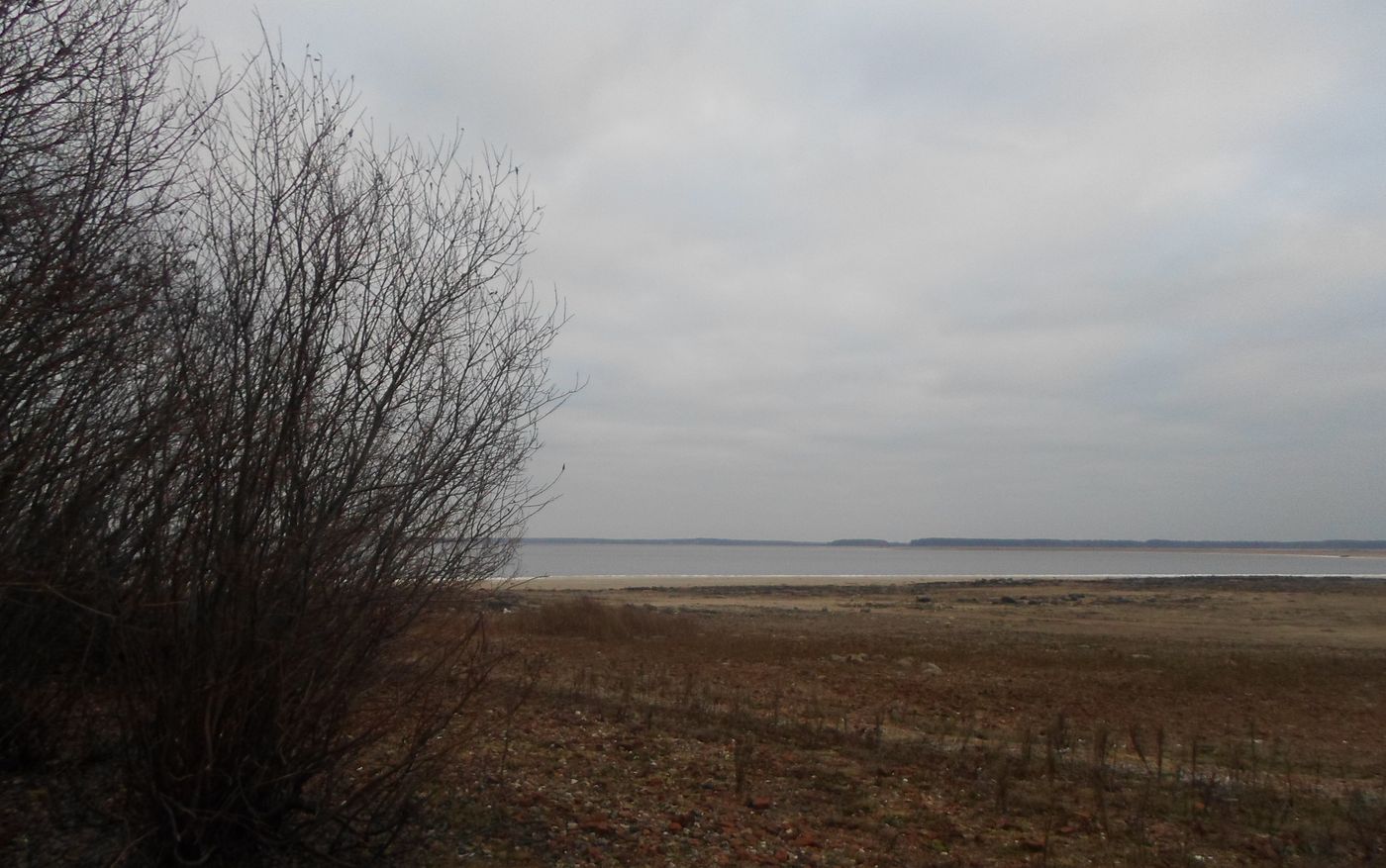 Остров Егорушкин и берег рядом, изображение ландшафта.