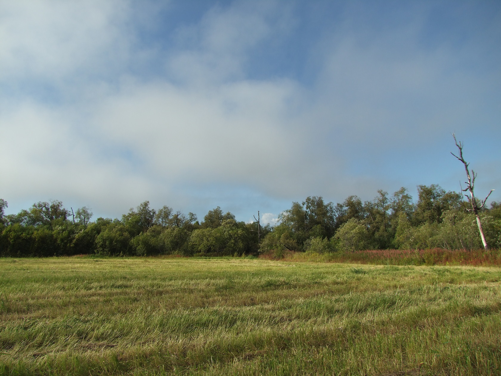 Ола и окрестности, image of landscape/habitat.