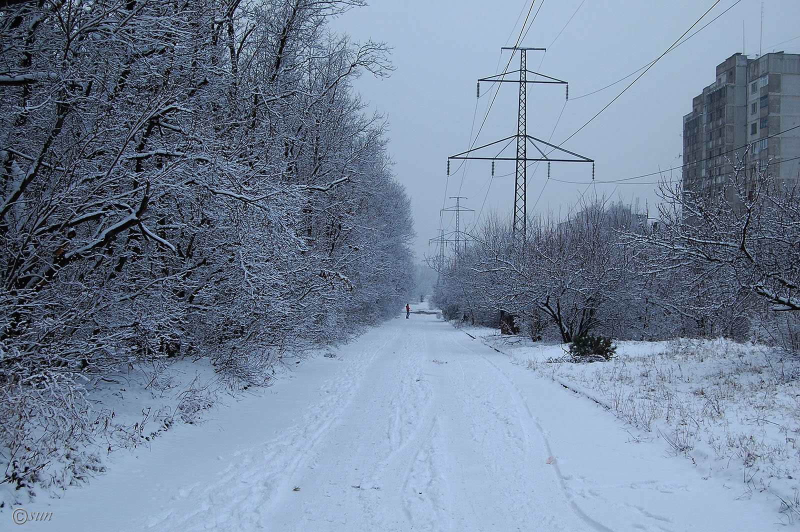 Луганск, изображение ландшафта.