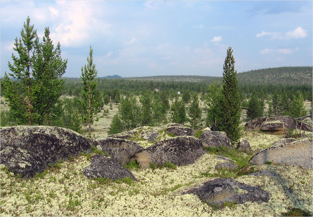 Бараки Кульйок, изображение ландшафта.