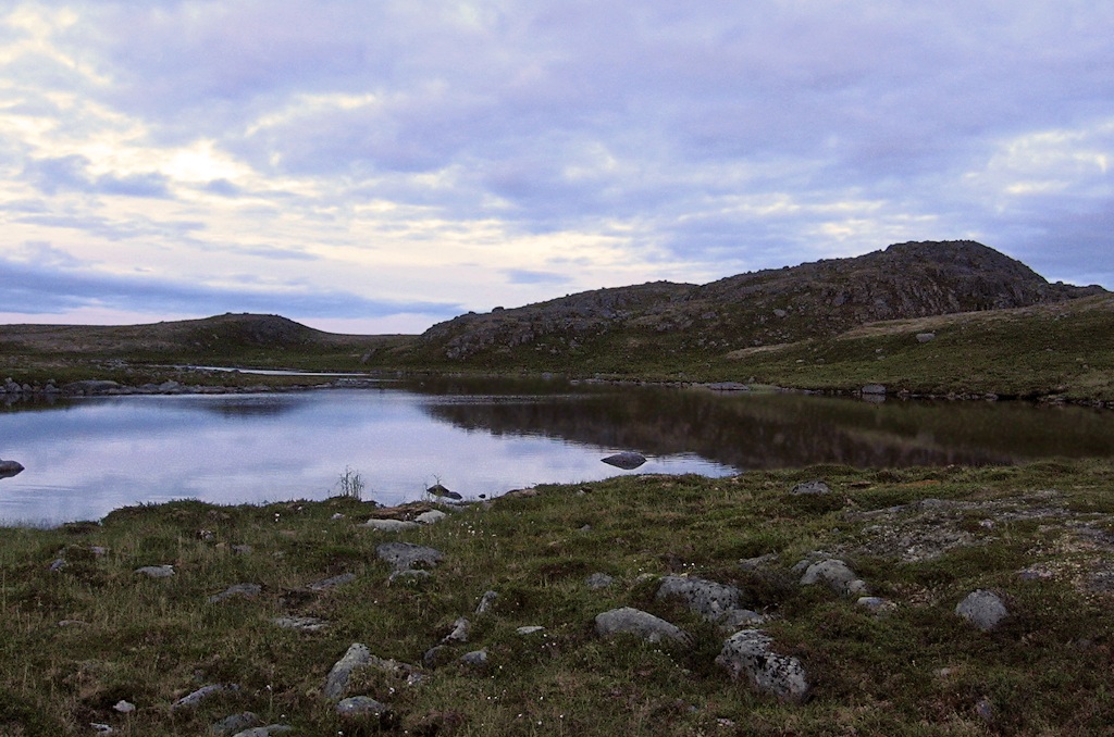 Губа Широкая, image of landscape/habitat.