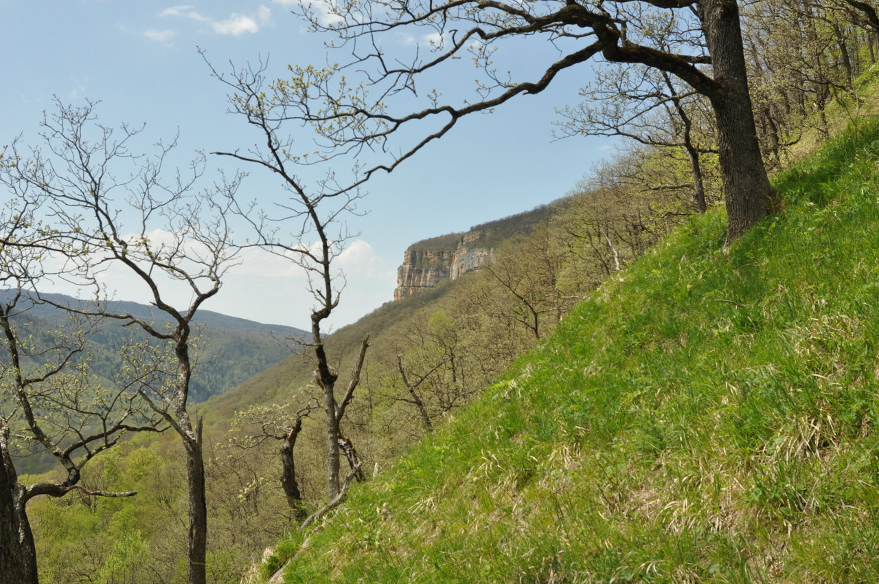 Орлиная скала, изображение ландшафта.