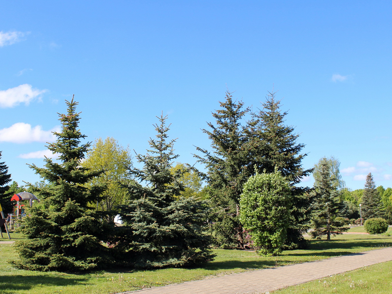 Парк Грековой, изображение ландшафта.