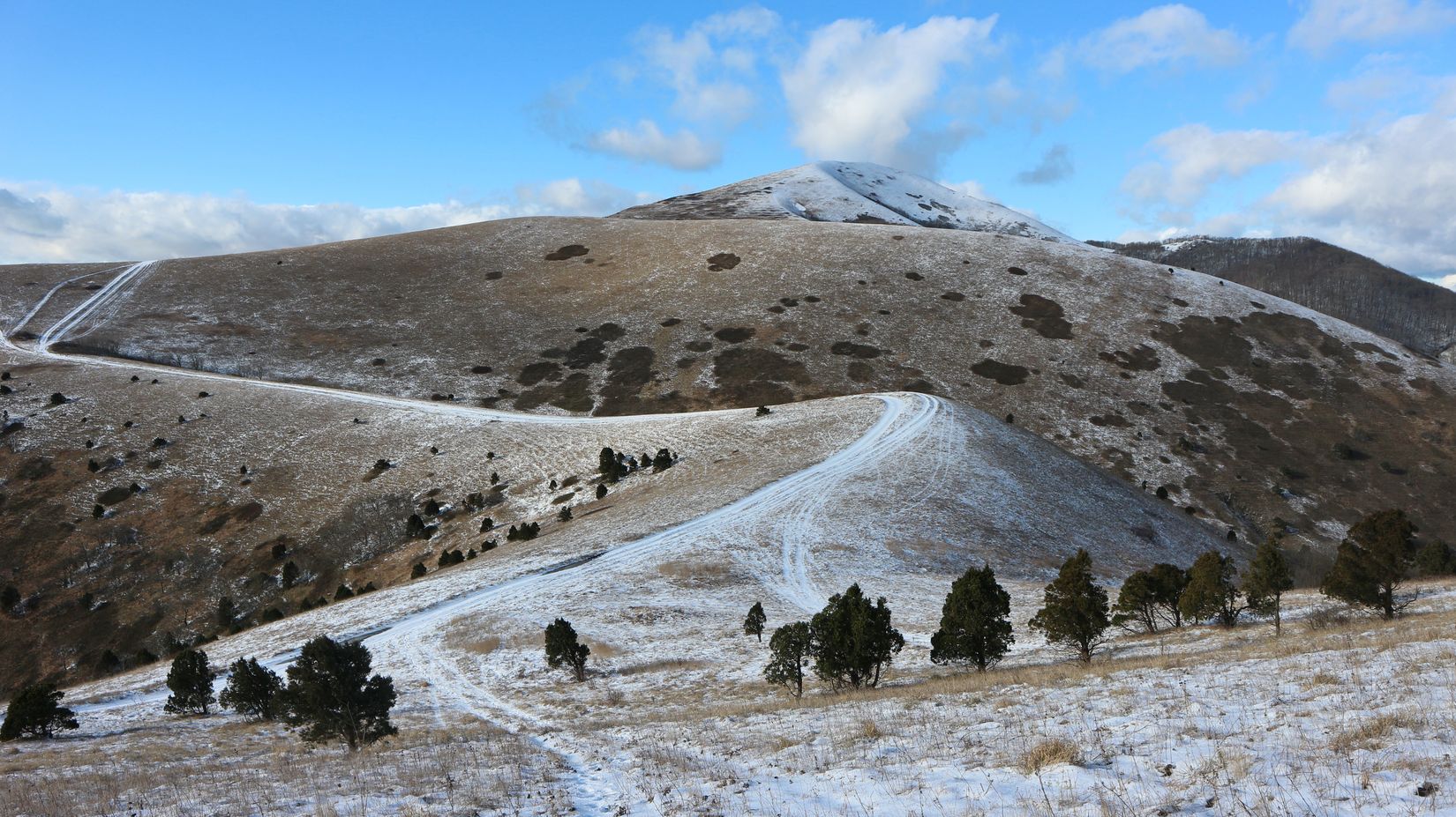 Отроги горы Совхозная, изображение ландшафта.
