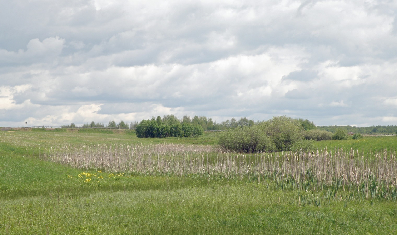 Окрестности с. Большая Брембола, изображение ландшафта.