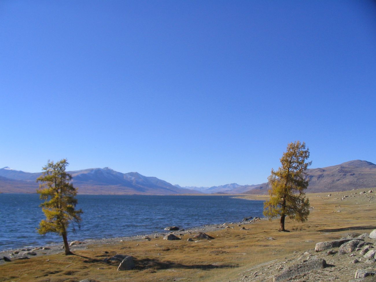 Озеро Хотон-Нур, изображение ландшафта.