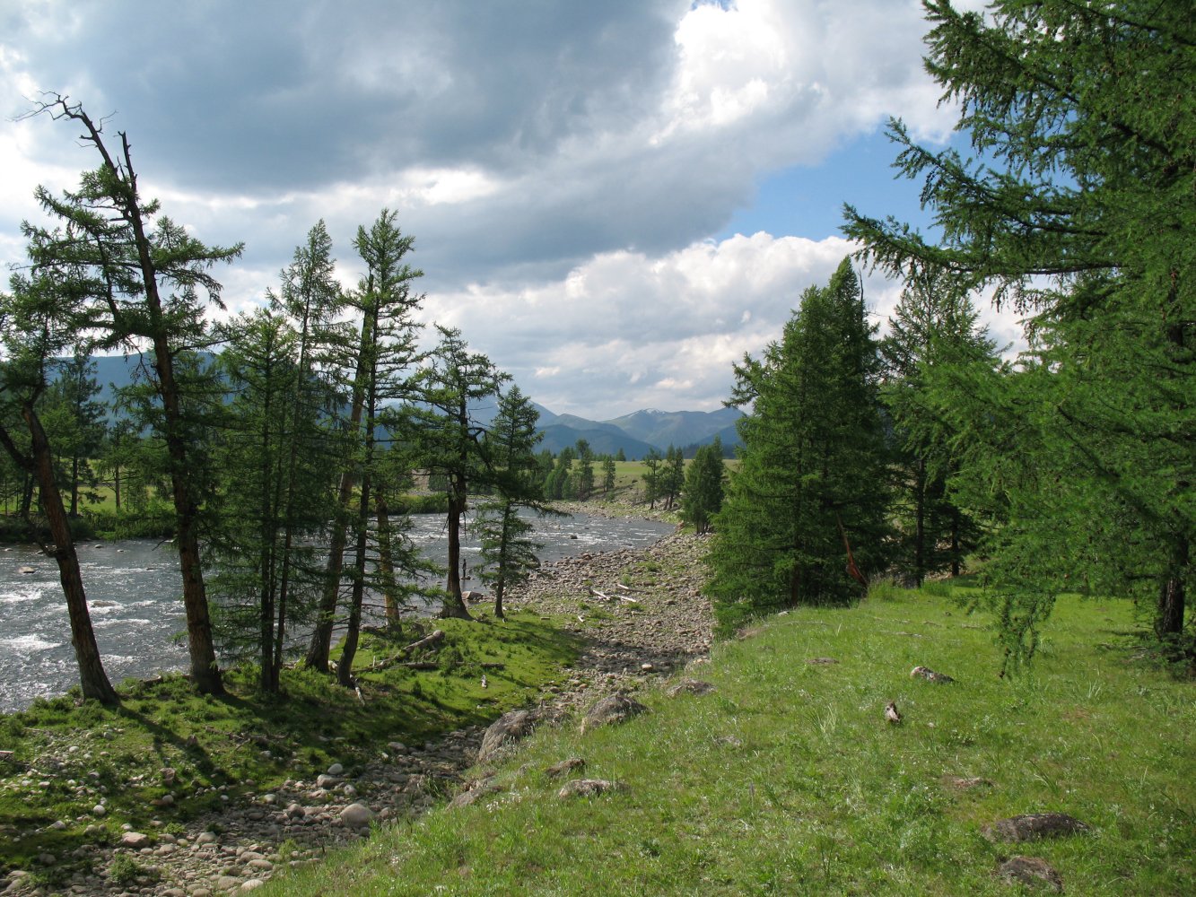 Низовье реки Сенца, изображение ландшафта.