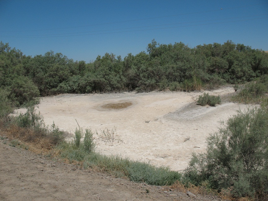 Мервский оазис с пустыней, изображение ландшафта.