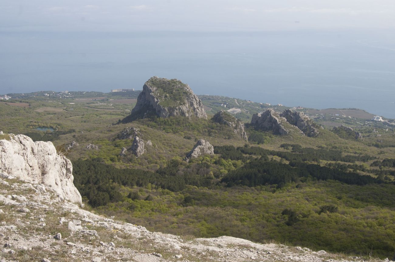 Окрестности скалы Биюк-Исар, image of landscape/habitat.