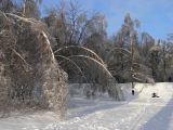 Москва Кузьминский лесопарк, изображение ландшафта.