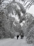 Москва Кузьминский лесопарк, изображение ландшафта.