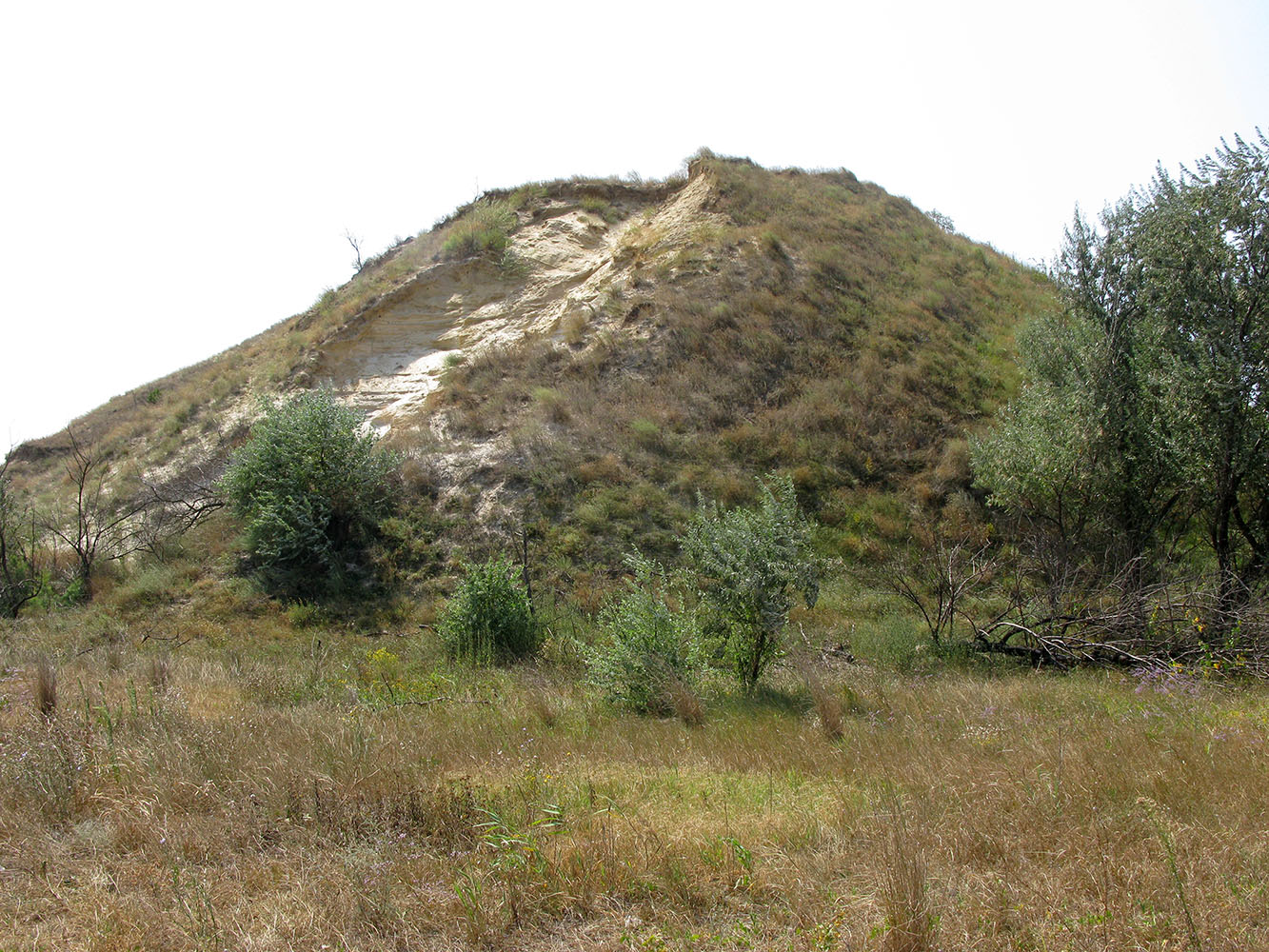 Витязевский лиман, изображение ландшафта.