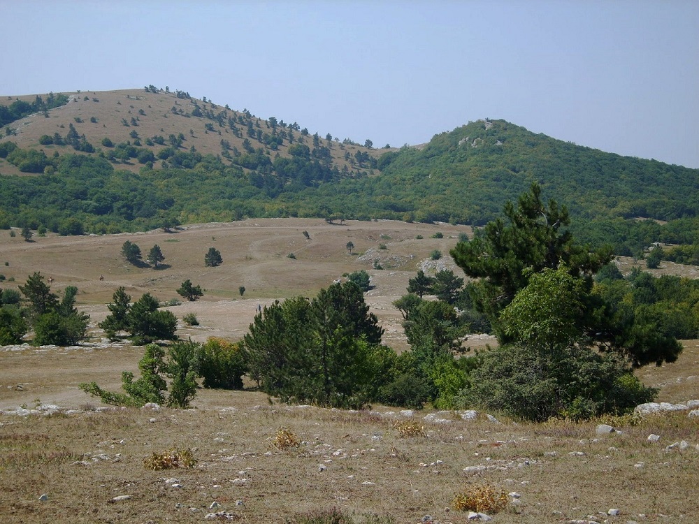 Ай-Петринская яйла, изображение ландшафта.