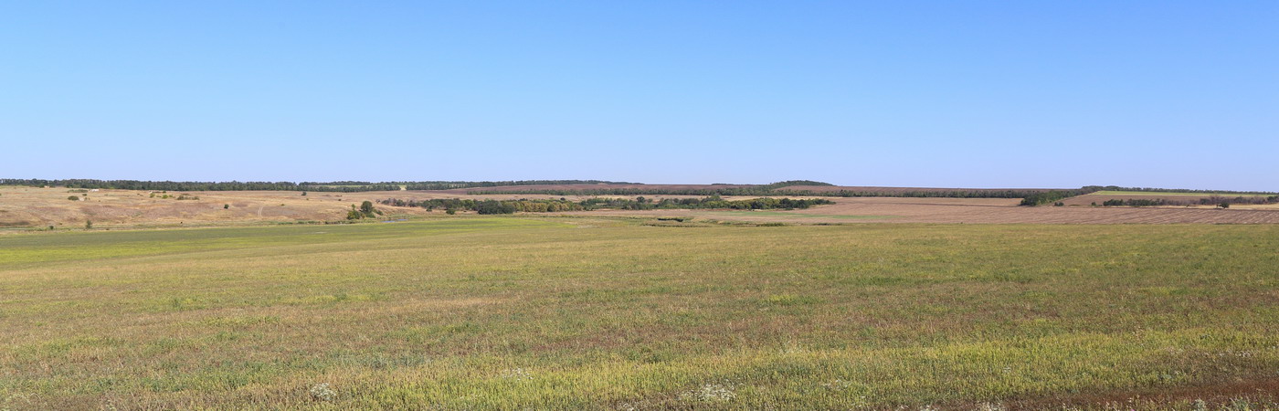 Долина реки М. Еланчик (В-Х с/п), изображение ландшафта.