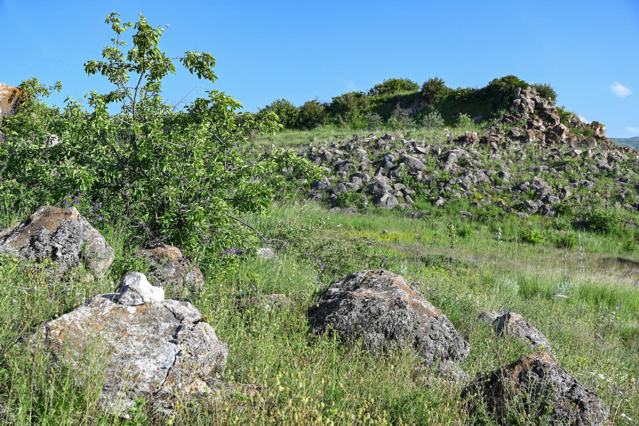 Окрестности села Норашен, изображение ландшафта.