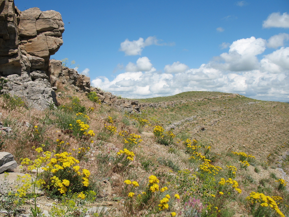 Ботамойнак, image of landscape/habitat.