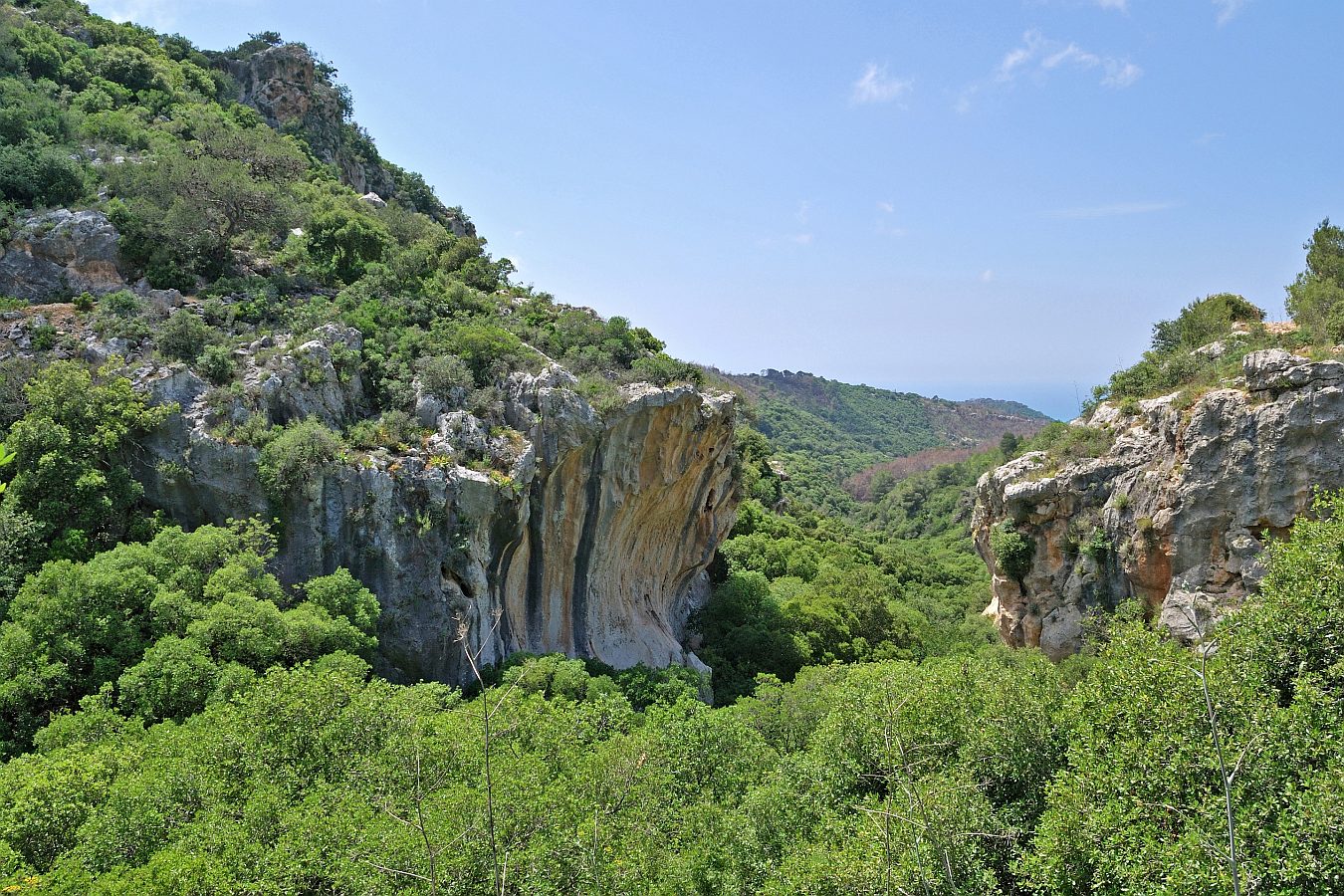 Кармель, изображение ландшафта.