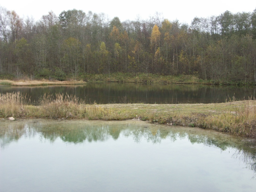 Верховья реки Шингарки, image of landscape/habitat.