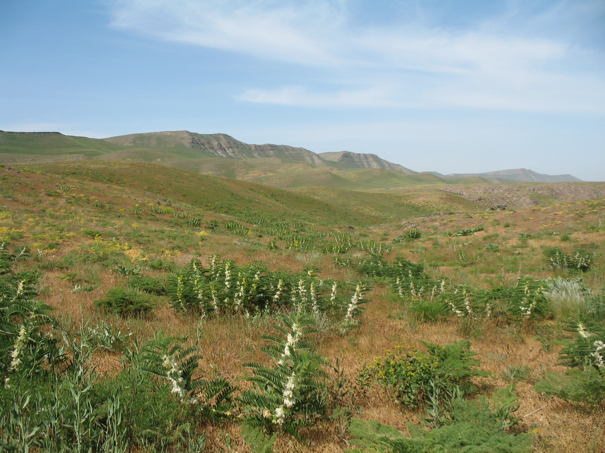 Улькунбурултау (север), изображение ландшафта.