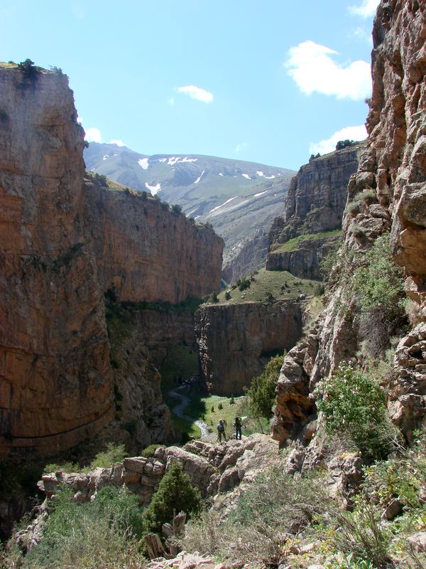 Ущелье Каласай, изображение ландшафта.