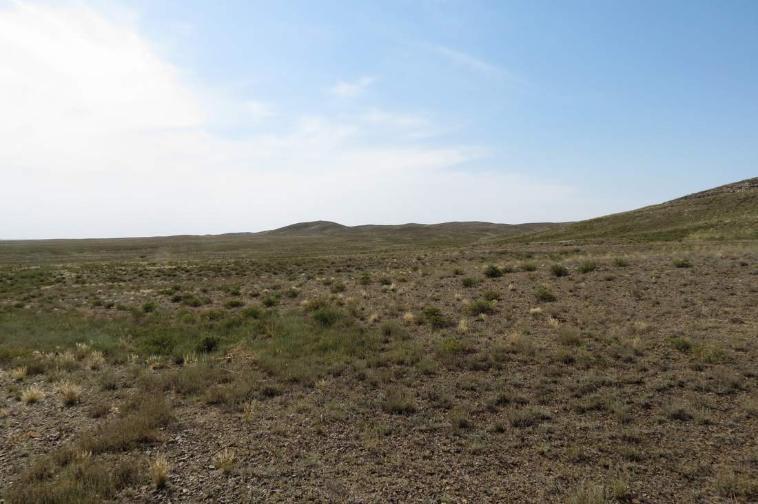 Бугор Жаксыбулак, image of landscape/habitat.