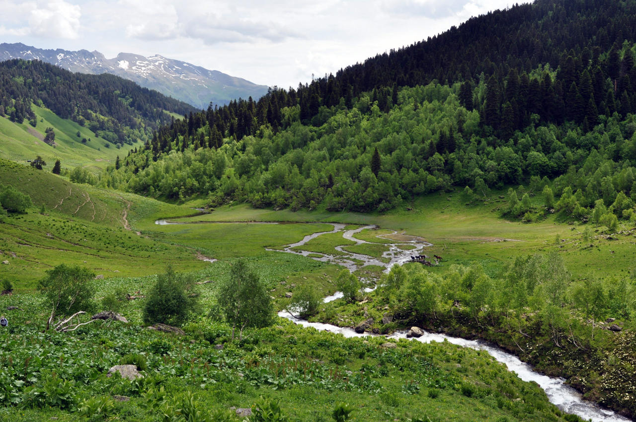 Долина реки Малая Дукка, изображение ландшафта.