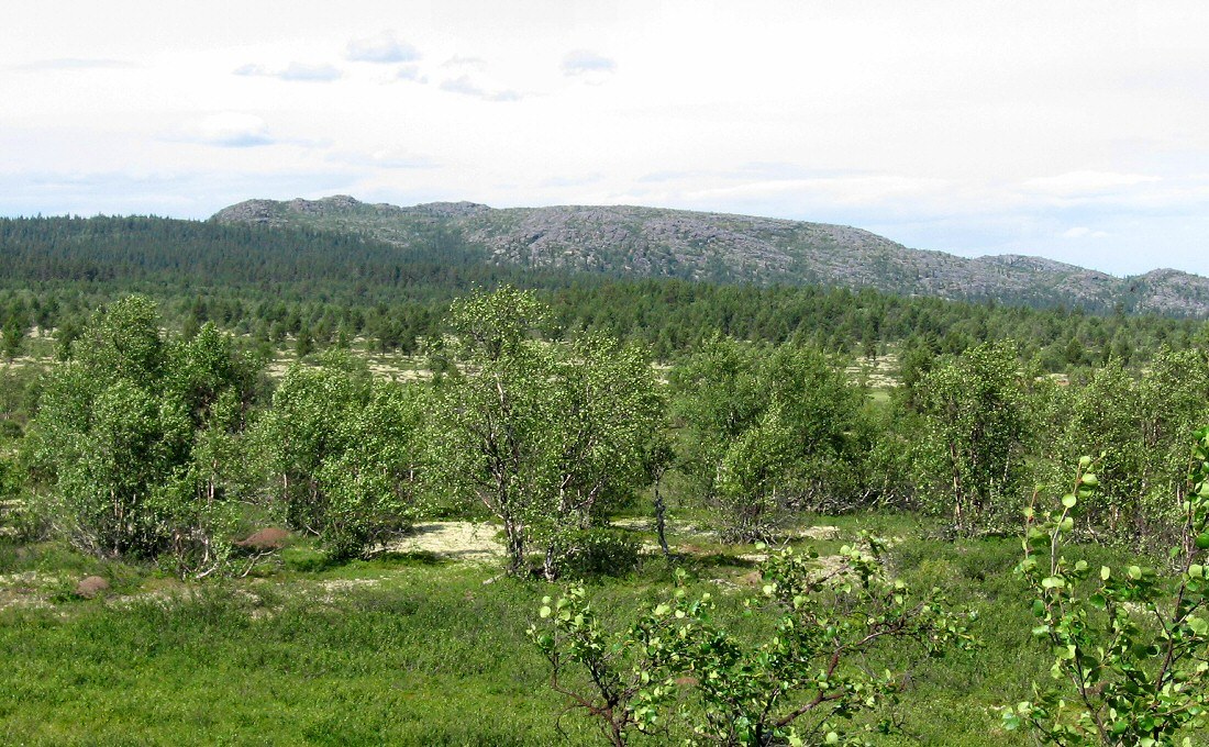 Кабанрека, изображение ландшафта.
