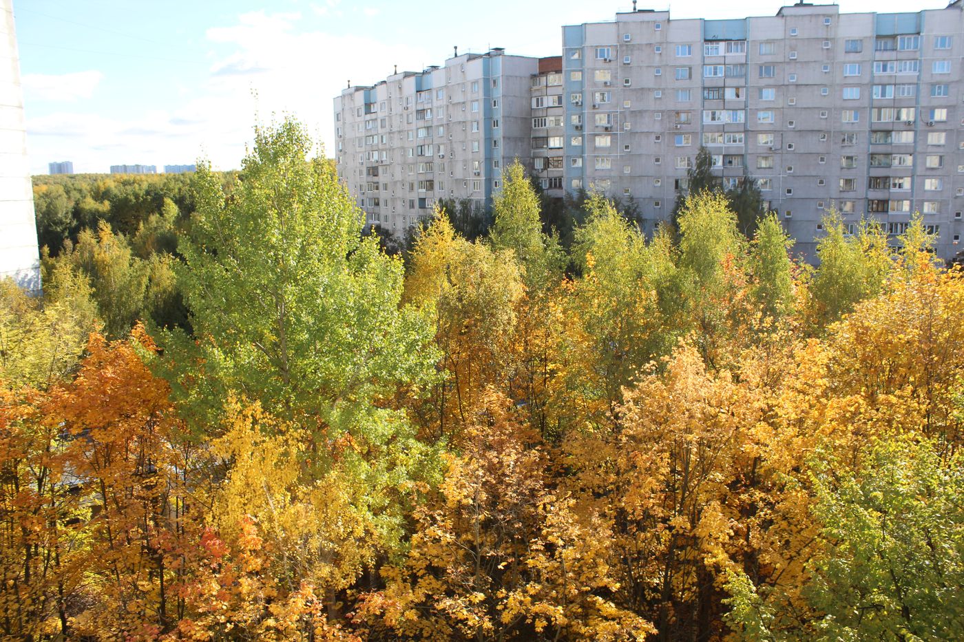 Заказник "Теплый Стан", image of landscape/habitat.