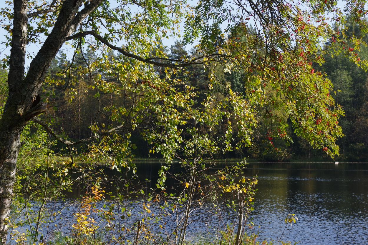 Озеро Змеёвка, изображение ландшафта.