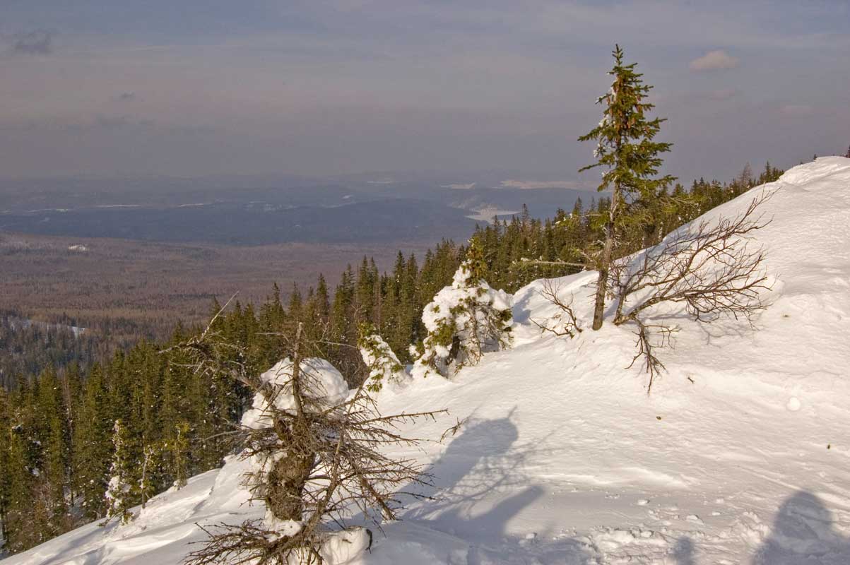 Хребет Большая Сукá, image of landscape/habitat.