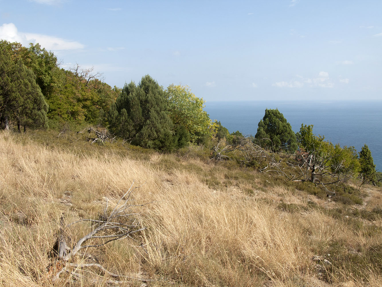 Широкая Балка, изображение ландшафта.