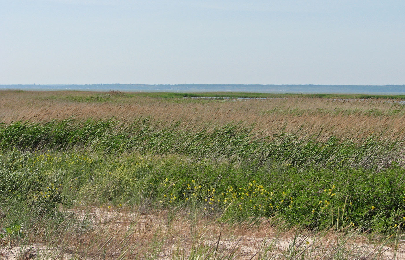 Белосарайская коса, image of landscape/habitat.