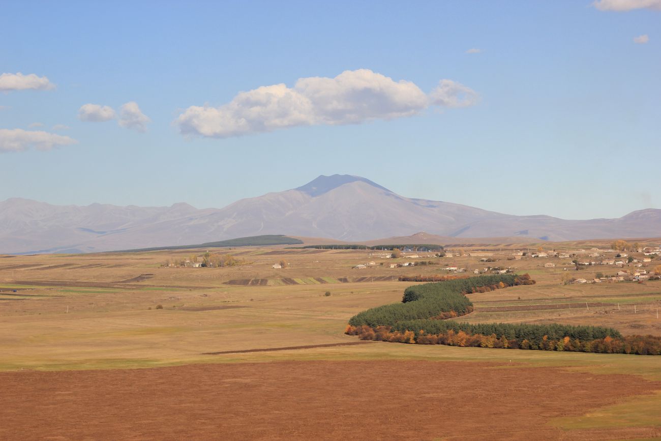 Болото Сулда, image of landscape/habitat.