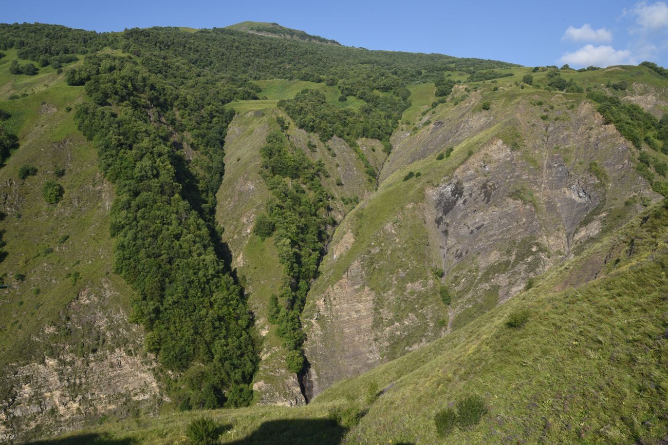 Долина реки Шикаройакх, изображение ландшафта.